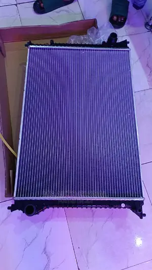Bentley Radiator