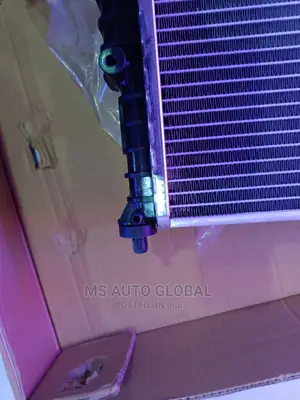 Bentley Radiator