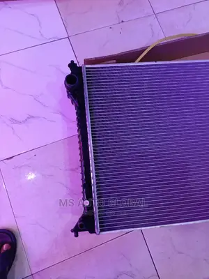Bentley Radiator