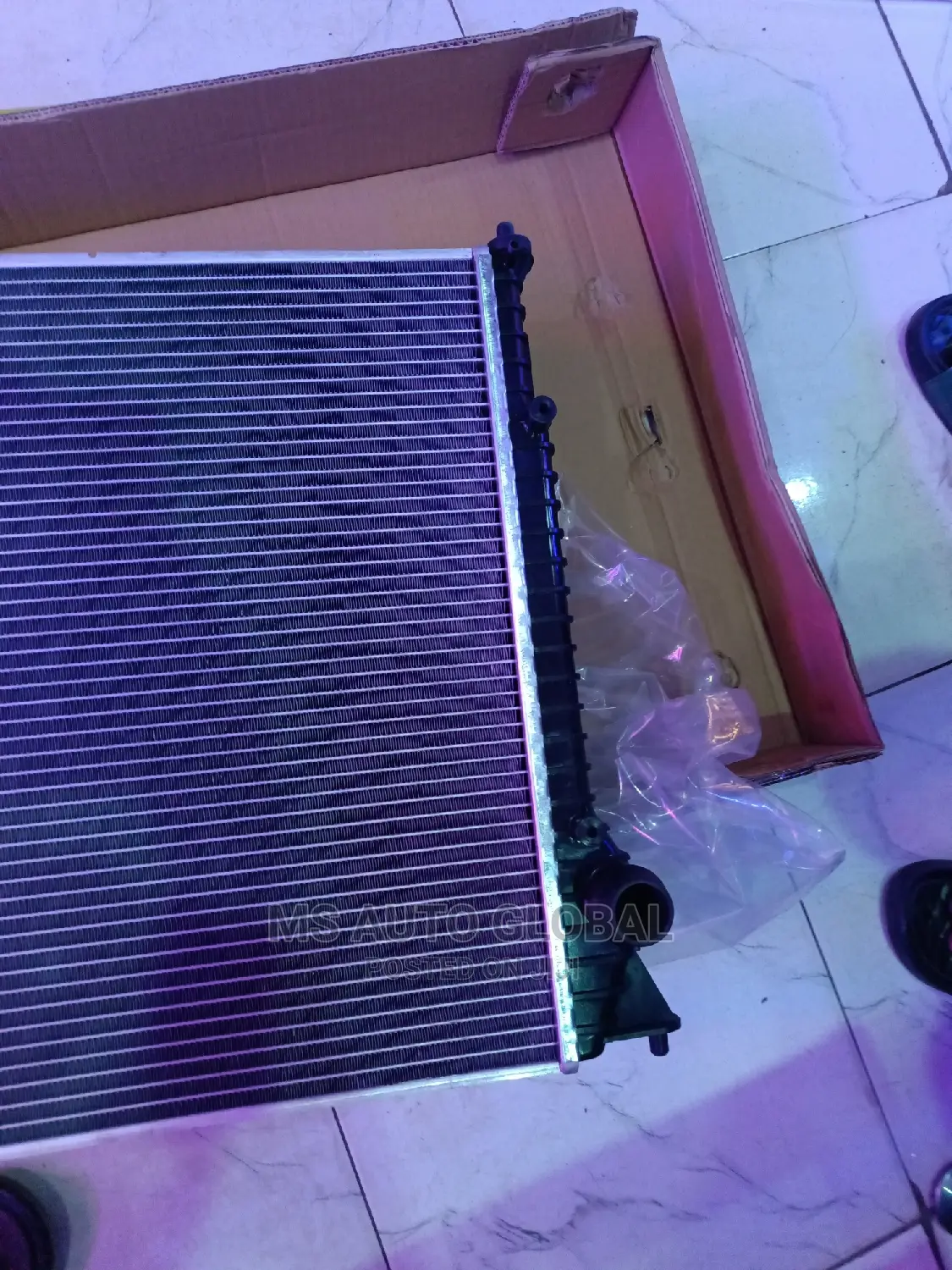 Bentley Radiator