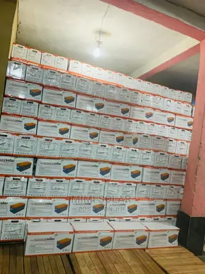 Choice Solar Dry Cell 220 Arms Battery