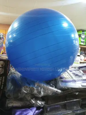 Gym Ball for Fitness