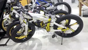 Original Big Tire Bike (Foldable Bike)