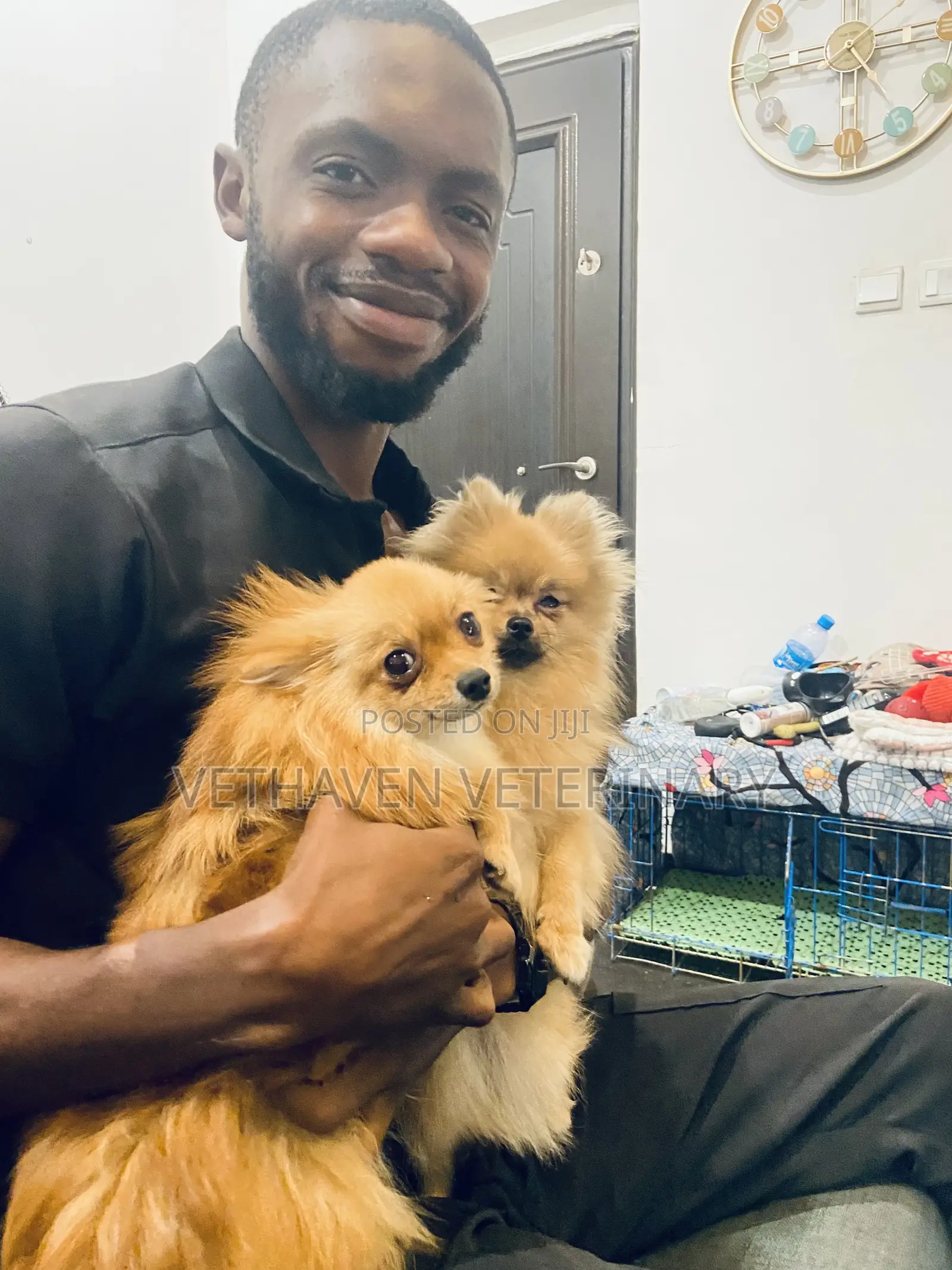 Veterinary Doctor