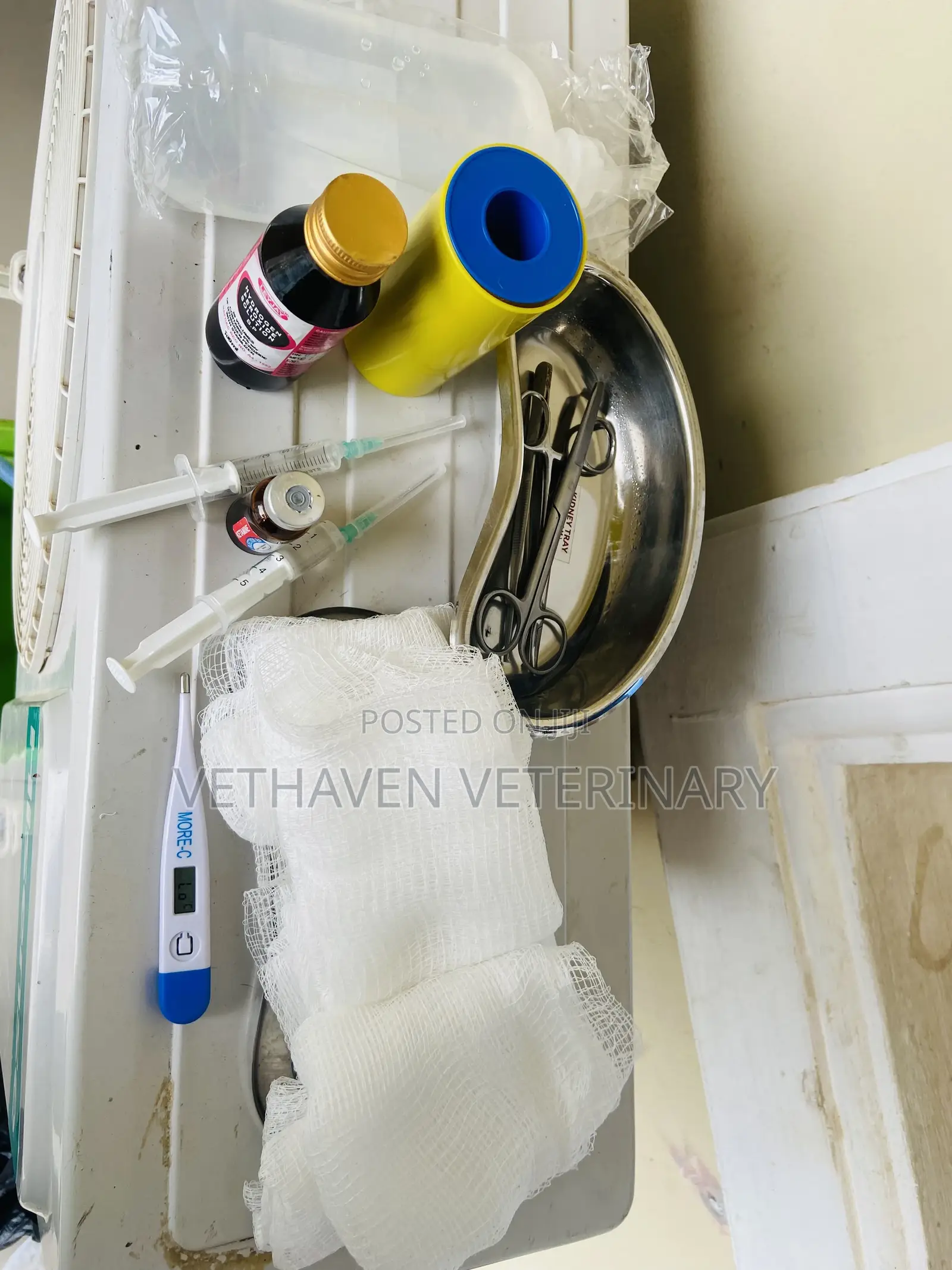 Veterinary Doctor