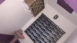 Window Blinds Concepts