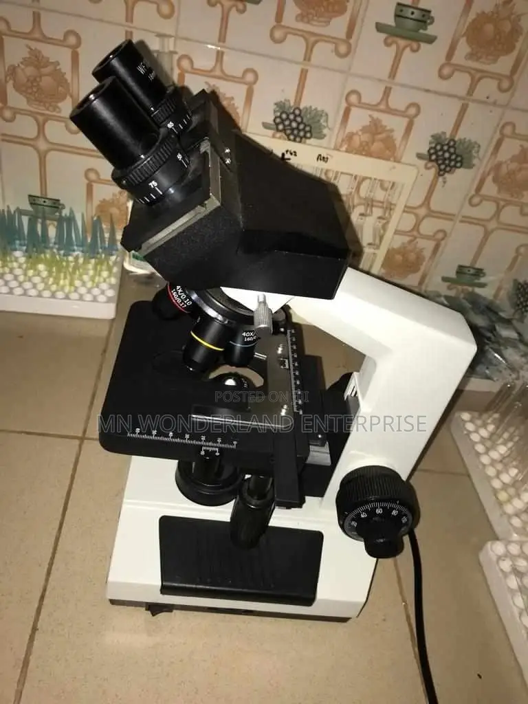 Microscope Olympus