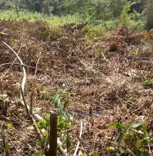 Distress Sale:1,740sqm Residential Land in Ikoyi