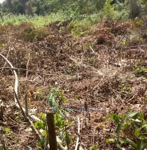 2,400sqm Land at GERALD RD Ikoyi, for Sale
