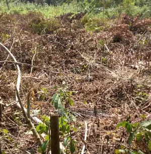 4883.872sqm Land at Bourdillon Road, Ikoyi for Sale