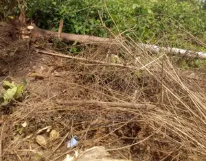 For Sale at Abijo, Lekki.* 21 Hectares (83,000sqm)