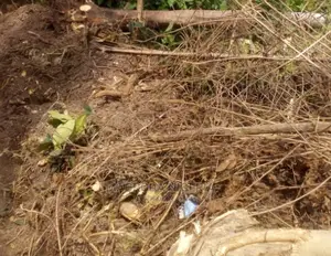1000sqm Corner Piece With a Demolishable Structure in Akora