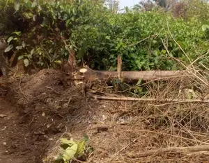Distress Sale: 4,125sqm Land at KINGSWAY RD IKOYI