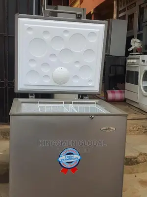 Brand New Thermocool Inverter Deep Freezer