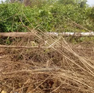 1100sqm Land for Sale in Banana Island, Ikoyi
