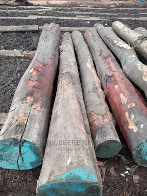 Wood Log, Woden Log, Hardwood Log, Hard Wood