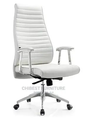 Standard and Comfortable Executive Chair