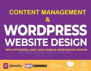 Online Newspaper Website Design in Abuja