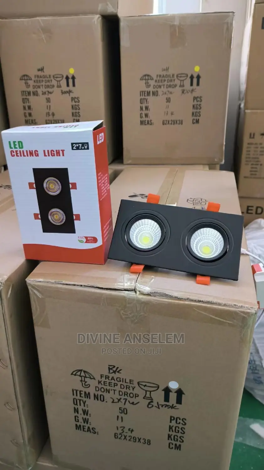2in1 Sport Light Fitting