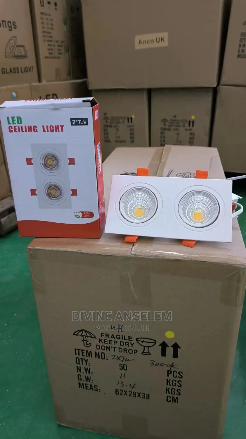 2in1 Sport Light Fitting