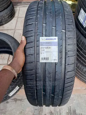 255/55 R20 Michelin Tire