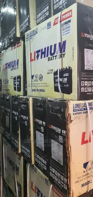 220ah LITHIUM Tubular Battery
