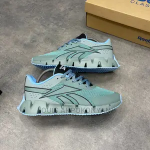 Reebok Zig Dynamica 2.0 Blue Sneakers
