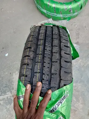 245/65r17 Greenlander Tire