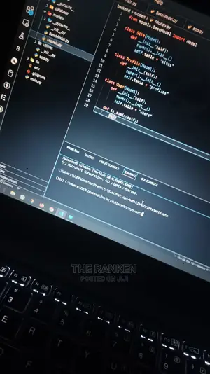 Website and Software Developer