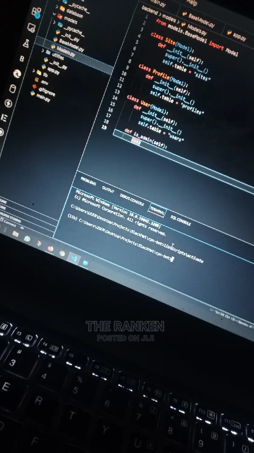 Website and Software Developer