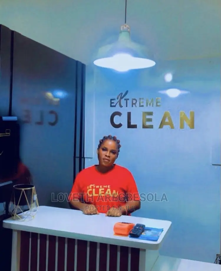 Professional Cleaning Service