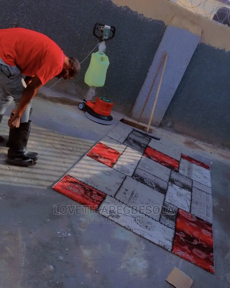 Professional Cleaning Service