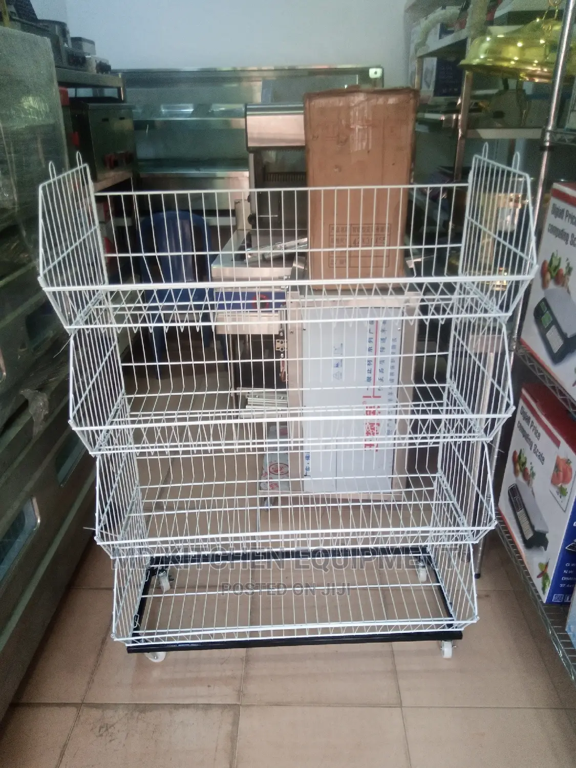 Biscuits Shelves