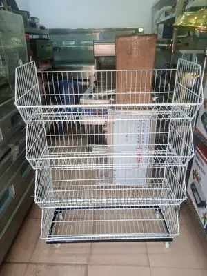 Biscuits Shelves