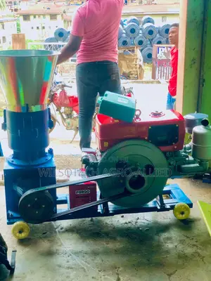 1.2ton/Hr Diesel Engine Powered Pelletizer Available