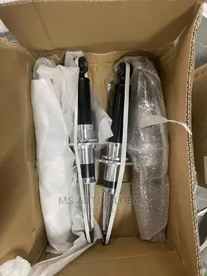 Ferrari 458 Spider Shocks