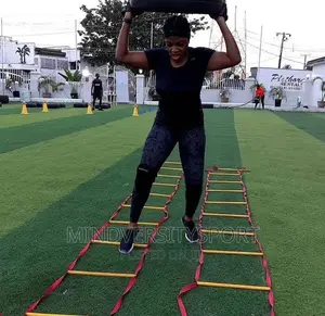 Fitness Ladder