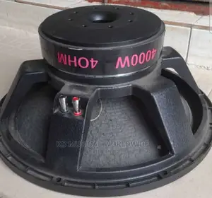 Oceanic 18"Big Magnet and Big Coil