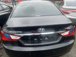 Hyundai Sonata 2010 Black