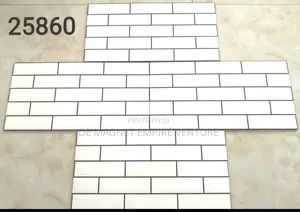 25x50 Wall Tiles