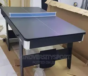 2 in 1 Table Tennis and Snooker