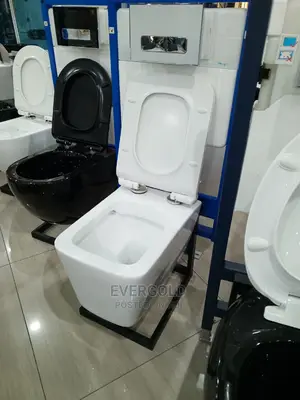 England Conceal Water Closet With Original Flush System