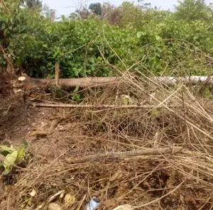 Prime Corner Plot in *Block 2, Plot55 at Abijo Gra Ibeju Lekki