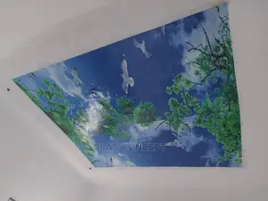Quality Epoxy 3d Celling