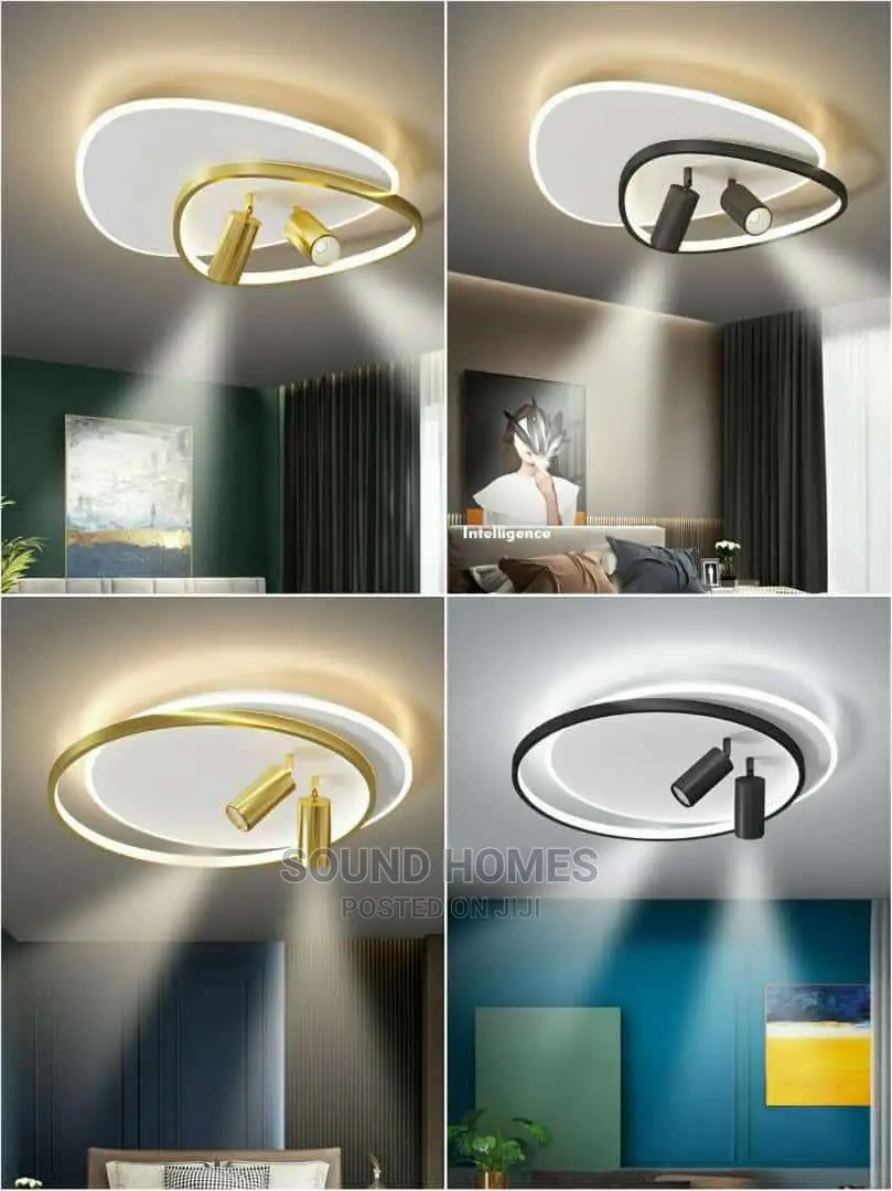 Ceiling Lamp With Adjustable Track Lighting