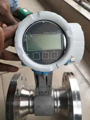 Endress+Hauser Flow Meter Prowirl 200