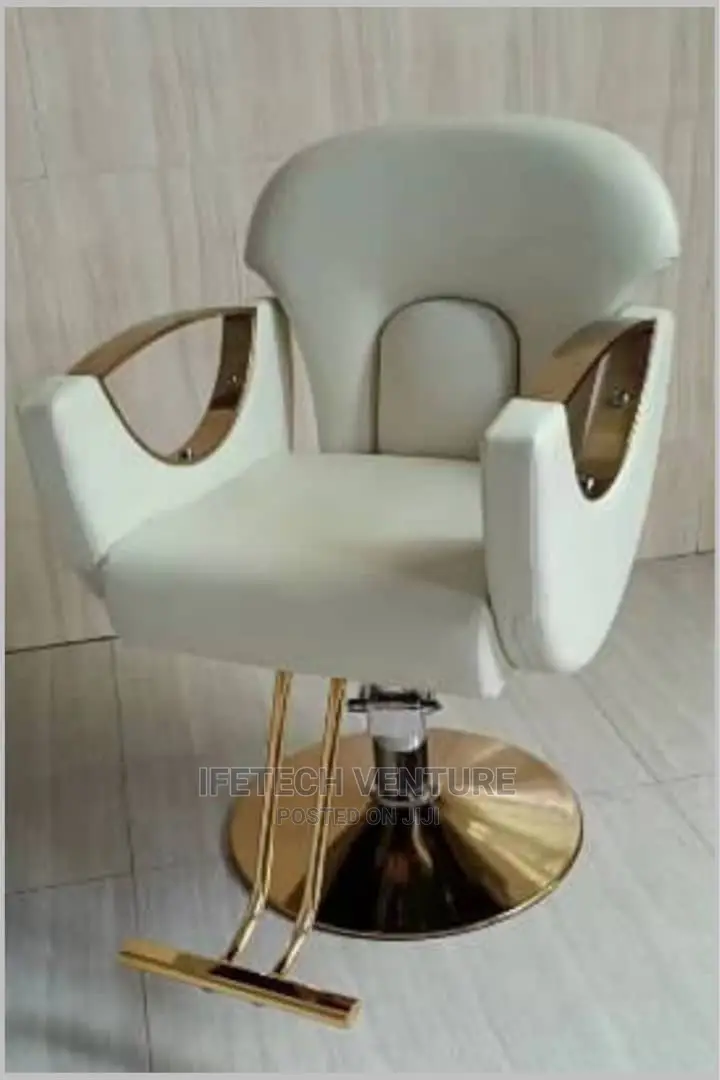 Salon Chair