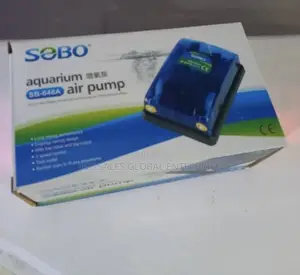 Double Outlet Air Pump