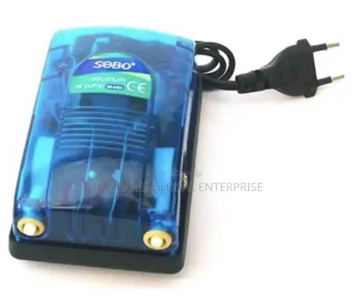Double Outlet Air Pump