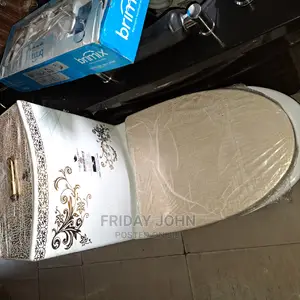 White and Gold Toilet